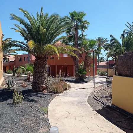 Hakuna Matata * Corralejo